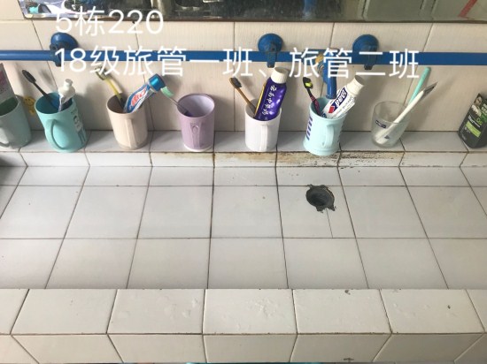 12f1c26d7a2172ea_副本.jpg