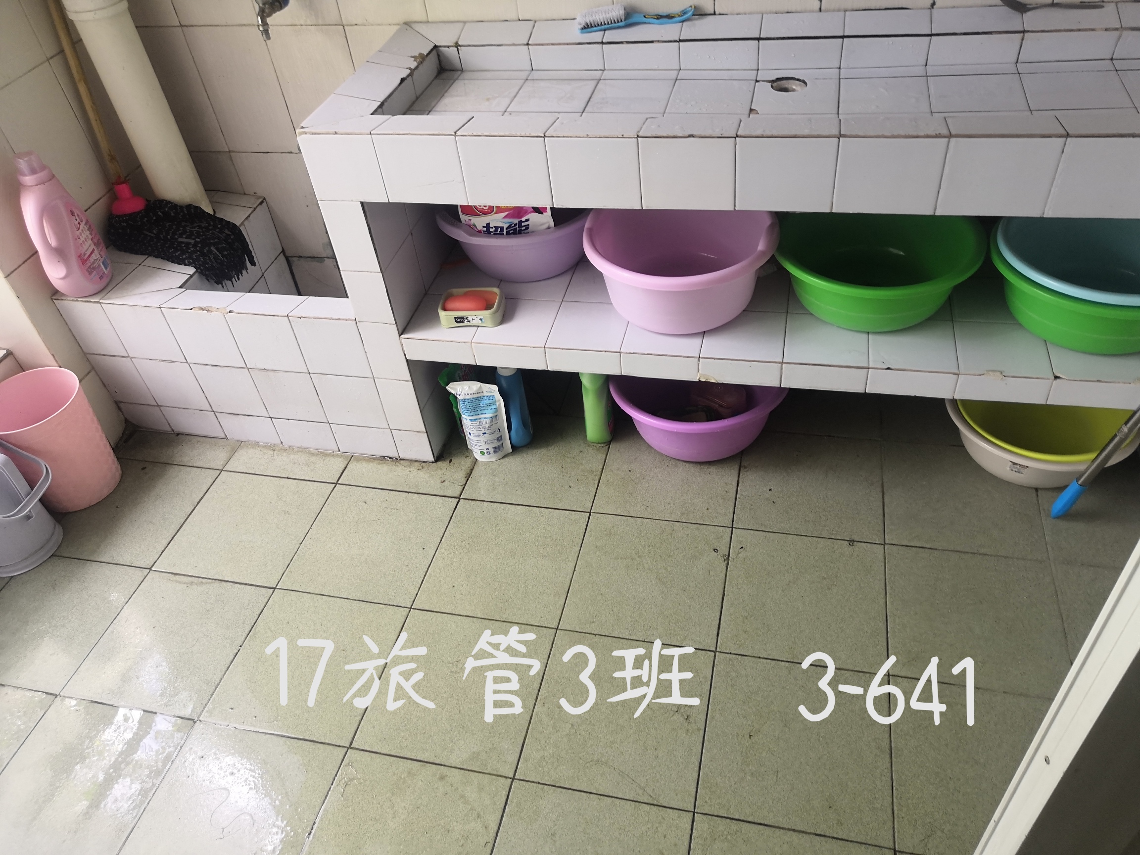 IMG_20190521_142036.jpg